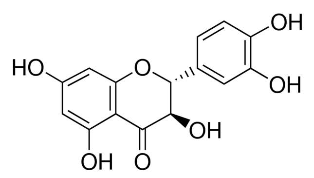 timg (1).jpg
