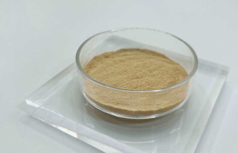 廠家供應救必應提取物，CAS 42719-32-4 長梗冬青苷 具棲冬青苷 15% 18%